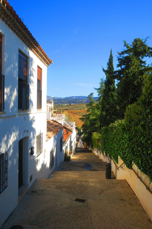 今度は別のビューポイントに行ってみます。<br />