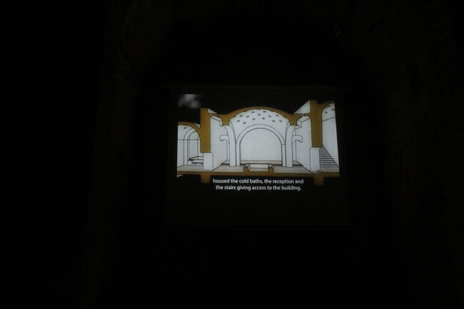 上映中だったので次の回が始まるまで待ちました。解説は英語とスペイン語ですが、分かりやすいイラストでの説明なので理解できました。長めなビデオでしたが面白かったです。