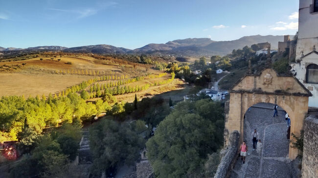 旧市街の「サンタ・マリア・ラ・マヨール教会」に向かっていますが「アラブ浴場」からは、かなり上りになります。修行感がありました(笑)