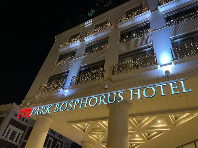 ホテルにご帰還<br />ほとんど、クリスマスモードの飾りでした<br />