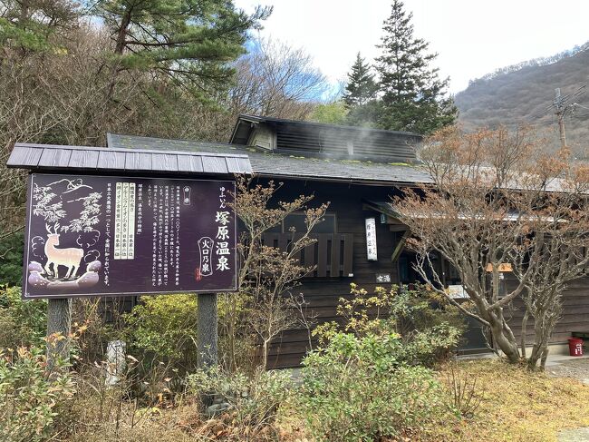 【鹿が傷を癒したという言い伝えがある温泉】<br />帰り道の道路脇に野生の鹿がいました。渡りたそうな顔してたので止まって「どうぞー」のジェスチャーしたら、二匹がお辞儀しながら渡ってかわいかったです。