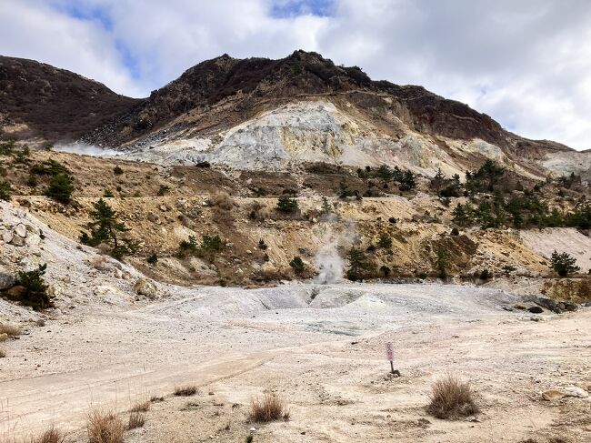 【火口】<br />立ち止まったら気力が持たなそうなんで、一気にここまで来ました。たったの3分で心臓バクバク。もしかしたら私の心肺機能が弱いだけ？<br />火口から微かにゴゴゴゴゴ…という音が聞こえて来ます。道中ずっとしてた硫化水素の匂いも、ここが一番強いです。