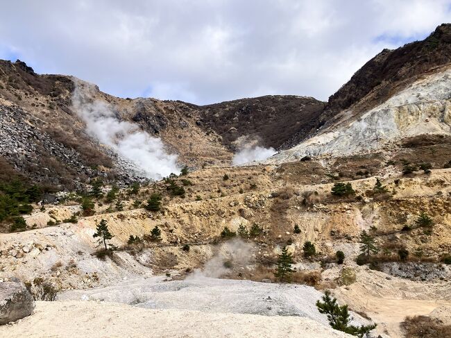 【火口展望所】<br />火口の所まで戻ってきたら、道が枝分かれしていて火口展望所なる場所があると気付きました。そこから撮影したのがこちら。さっきのと大差ないかな。