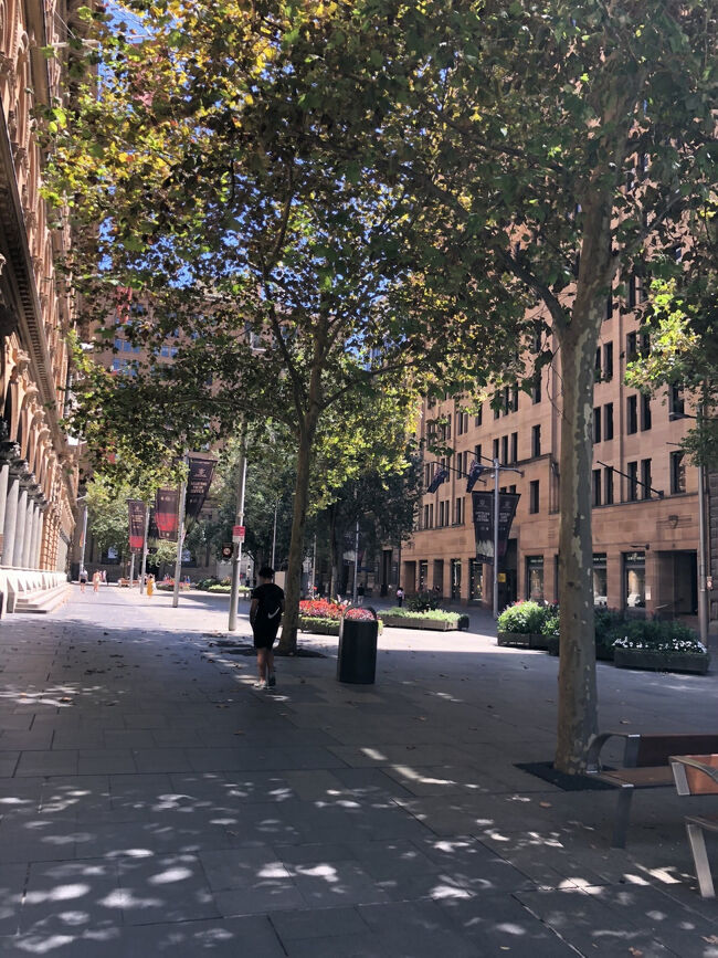 更にジョージ ストリートを北上､､､､､､<br /><br />此処マーティンプレイス(Martin Place)はオーストラリアの経済を動かす金融の中心地でビジネス街です。<br /><br />オーストラリアを代表する大手銀行や放送局更に高級ブランドショップが立ち並びます。<br /><br />まさにシドニーのcityのビジネスの中心で豪州経済の中心地です。<br /><br />シティーレイル(Cityrail)のマーティンプレイス駅の真上に有る歩行者天国に成っている大きな広場でこの広場を取り囲むように石造りの巨大な歴史的建築が建ち並んでいて重厚感を醸し出し見ていても壮観です。<br /><br />中でも見物の建築は時計塔の有る西側の大きなビルで現在The Westin SydneyとAustralia Postが入ってます。<br /><br />もう1つはCommonwealth Bankの列柱が並んだ巨大な内部空間が素敵な銀行建築で館内見学も出来ます。<br /><br />広場中央にはANZAC戦争追悼慰霊碑が有ります。<br /><br />アンザック(ANZAC)とはオーストラリアとニュージーランドの頭文字を取って作られた言葉で英連邦諸国の軍隊で英国の対外戦争に参加しました。