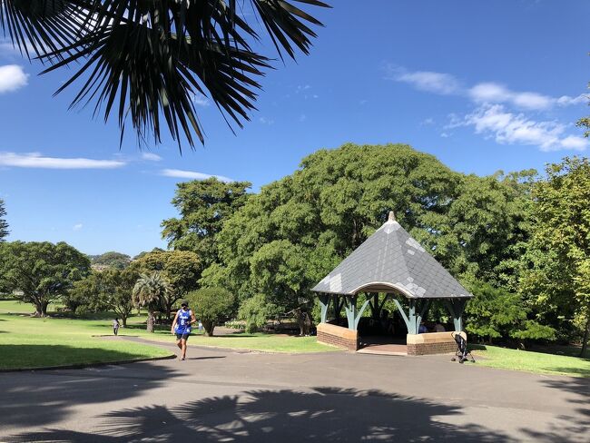 広い敷地内は大きな木の木陰以外夏場は日陰が少ないので熱中症対策をお忘れなく。<br /><br />