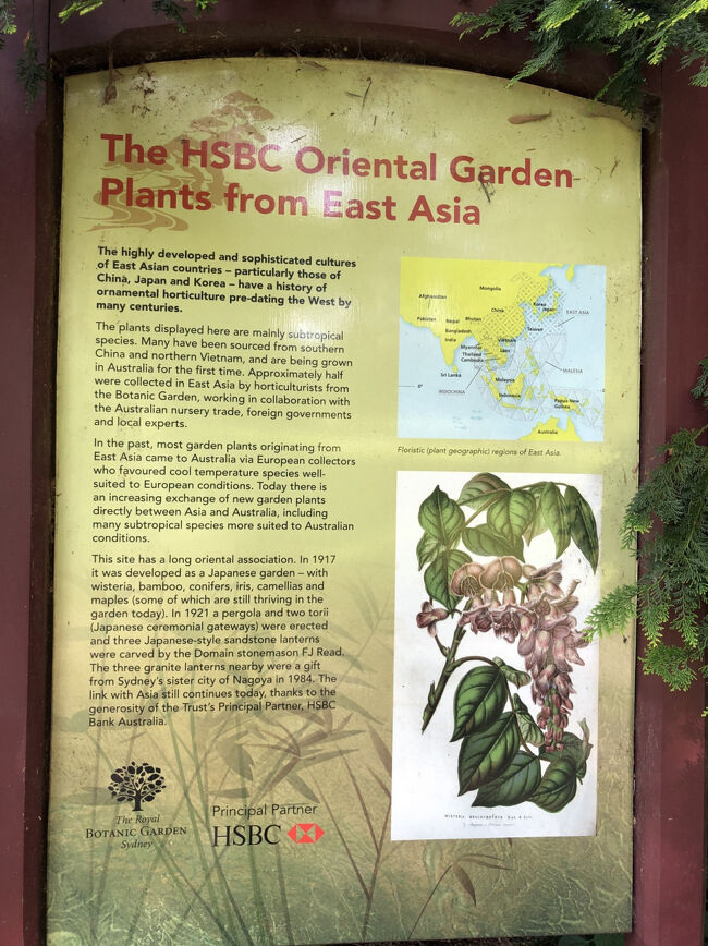 そして園内を去る時に注意して上を見て下さい。彼方此方の木になっている黒い物体を・・・・<br /><br />そう蝙蝠(コウモリ)が大量にぶら下がっているんです。その数は圧巻です。<br /><br />でもコウモリの落し物には注意しましょう!