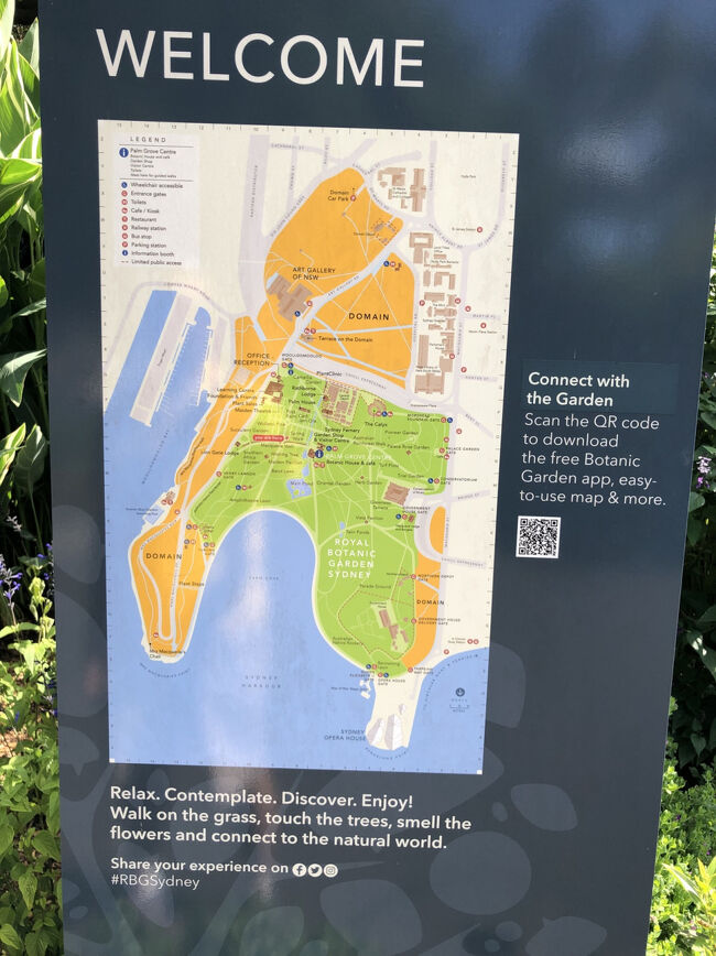 ロイヤル ボタニックガーデン周辺にはNSW(ニューサウスウェールズ)州立美術館やシドニー病院、バラックスなどが有ります。<br /><br />植物園は開園時間が決まってますがドメインの方は24時間入れます。<br /><br />