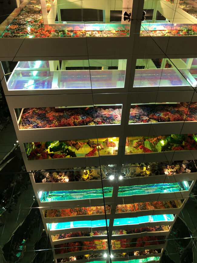 高さ11メートルにも及ぶアトリウムの空間も素晴らしいです。