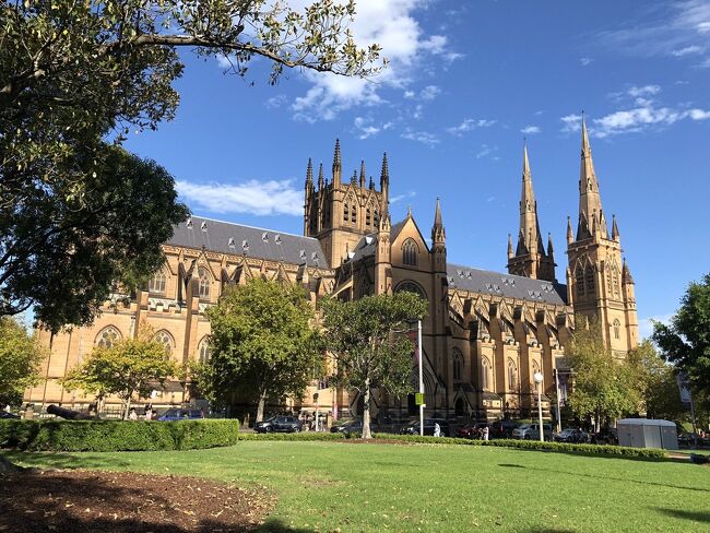 セントメアリー大聖堂の横を抜けて南下していきます。<br /><br />シドニー中心部のハイドパークに面して建っているこのゴシック様式の教会前はいつも大勢の観光客でごった返しています。<br /><br />一般公開もしているので聖堂内への立ち入りも可能です。でもお静かに！信者の方も祈っているので是非節度を持った写真撮影を・・・<br /><br />聖堂内はステンドグラスも大変美しく、聖具の数々も見とれてしまうものばかり・・・<br /><br />公園と反対側の教会の前庭下にcafeが有るのでここで休むのも良いかも・・・<br />