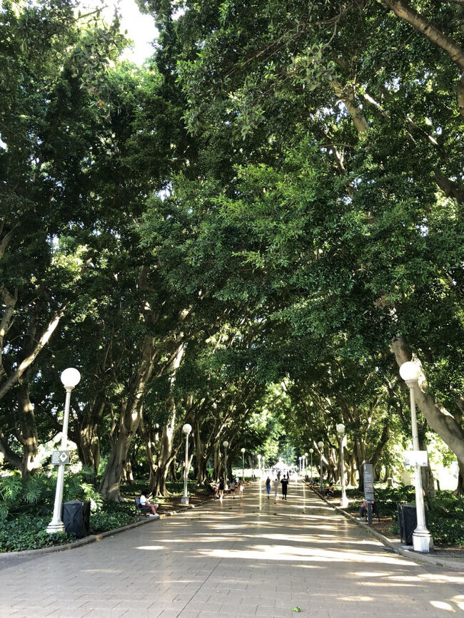此処の公園中央エリアの並木道や植物を配して園内にも多数の歴史的な記念碑や噴水が設置されているので散策には最適な場所です。