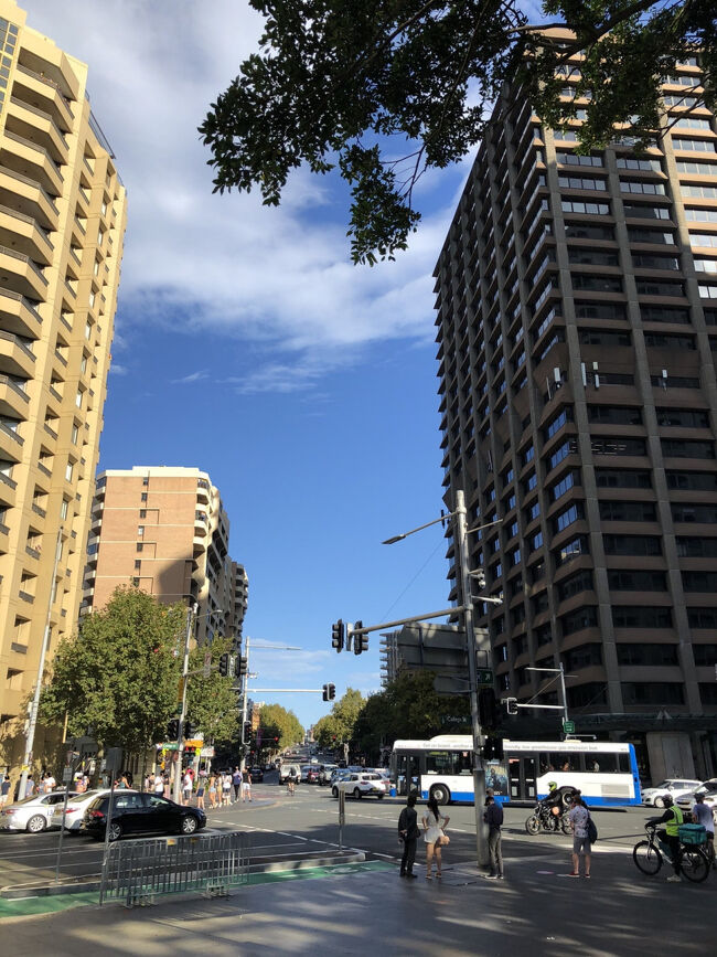 公園の端迄南下して来ました。<br /><br />この眺めはシドニーcityの中心部のハイドパークから東の方角へ抜ける際に多くの市バスが運行しているメイン道りのオックスフォード ストリートになります。<br /><br />お洒落な住宅地で繁華街のサリーヒルズから高級住宅地パディントン更に巨大ショッピングモールが有るボンダイジャンクションそしてボンダイビーチ方面へと繋がっています。<br /><br />毎年2月から3月初めのシドニー・ゲイマルディグラのシーズン最後のパレードはこの写真のエリアがスタート地点でこの道を山車が練り歩きます。<br /><br />昨日見ましたね！<br />