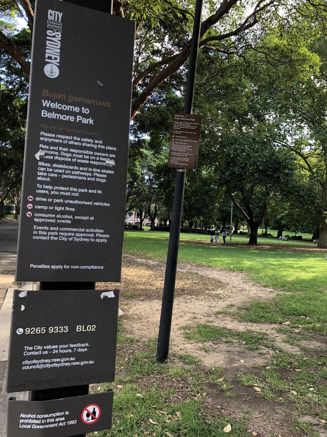 更に南下します。<br /><br />見えて来たのはシドニー・セントラル駅の前に広がる公園で背の高い木々が配されています。<br /><br />チャイナタウンから直ぐの場所ですし散策にはもって来いの場所。<br /><br />この公園の西側と南側は市内各所に向かう市バスの乗り場がずらっと並んでいます。<br /><br />公園の中心は芝生広場になっていて各種集会やお昼時はフィットネスをしているグループが沢山見かけられます。