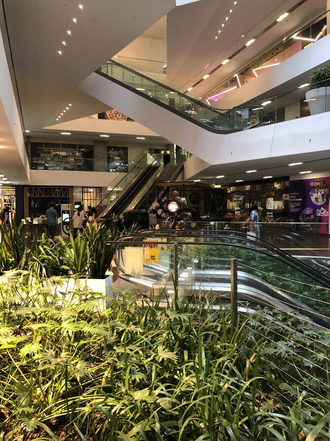 シドニー・セントラル駅から近いですし近場のチャイナタウンとは違った雰囲気を楽しみたい方にはお散歩がてら訪問してみるのは如何でしょうか？<br /><br />館内も緑に溢れています。<br /><br />又上の階のフードコートはガラス張りの開放的な作りで目の前にはシドニー工科大学のキャンパスのビル群を眺められます。