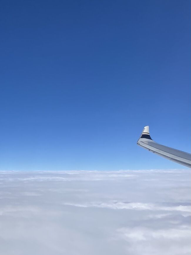 翼の先っちょも<br />スターラックスカラーでカッチョイイ♪<br /><br />機内で映画『アナ雪２』を観て<br />CAさんが心配そうに<br />２度覗き込むほど号泣<br />オ、オラフ(雪だるま)が……(TT)