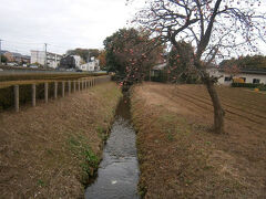 平林寺の西側を境内に沿うように流れる野火止用水です。
川越城主松平伊豆守信綱が作らせた用水で、東京都立川市の玉川上水から埼玉県新座市を通り新河岸川に続いています。
延長２５㎞もあります。

