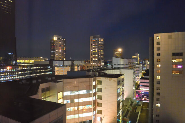 オランダの旅は今日で終わり。ホテルの窓から眺める夜景が、静かにその終わりを告げているようです。<br />そしていよいよ、明日は初めてのチェコへ。<br /><br />つづく。