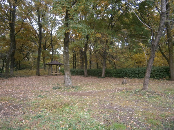 こちらは平林寺に隣接する野火止緑地総合公園野鳥の森。<br />名前の通り、秋から春にかけていろいろな野鳥が訪れます。<br /><br />