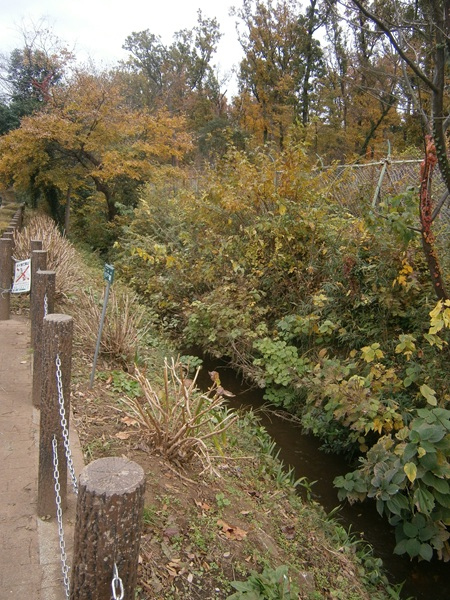 用水敷は、おおむね四間（７．２m）あります。<br /><br />