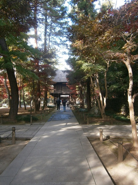 入口から奥に続く参道です。<br />