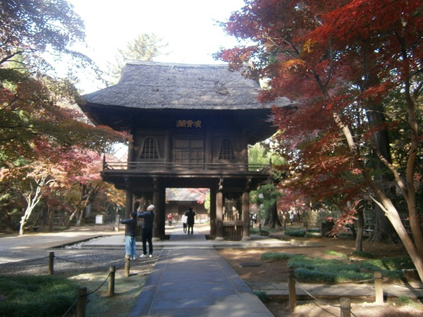 参道の途中にある、山門。<br />こちらも埼玉県指定有形文化財です。<br />楼脚にある仁王像は鎌倉時代の作です。<br /><br />