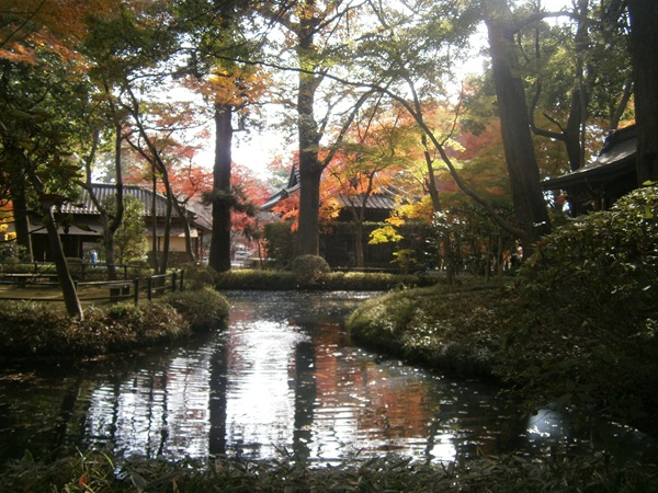 仏殿の左手には放生池があります。<br />紅葉を水面に映し、素敵な風景を見ることができます。<br /><br />