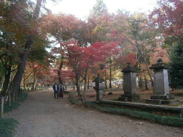 墓地付近の紅葉も美しかったです。<br />