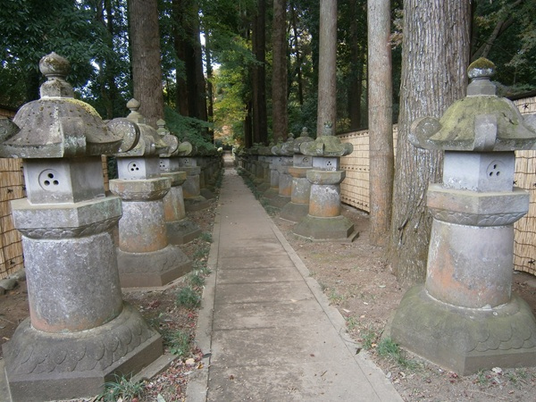 墓地近くにあった、立ち入り禁止の参道。<br />姿が美しいので、皆、写真を撮っていました。<br /><br />