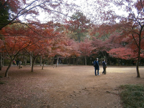 境内の奥のほうにある、もみじ山という場所です。<br />名前の通り、もみじで囲まれています。<br /><br />