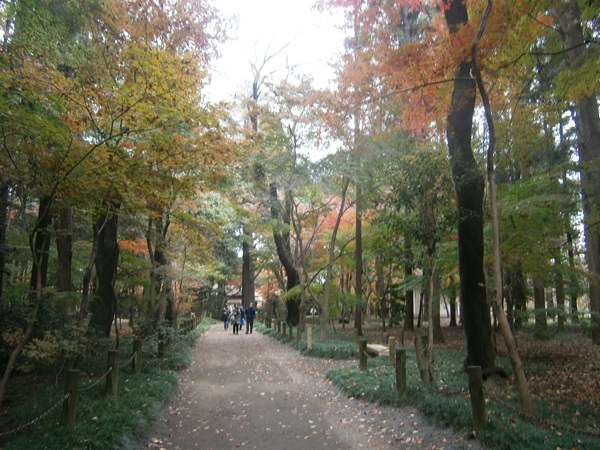 平林寺の境内林は、東京ドーム約９個分の広さをもちます。<br />国指定天然記念物です。<br /><br />