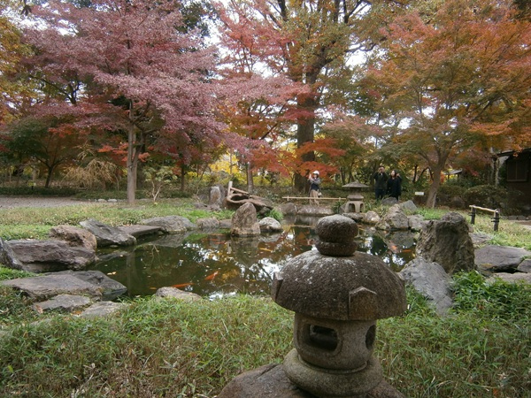 池を拝した庭がありました。<br />