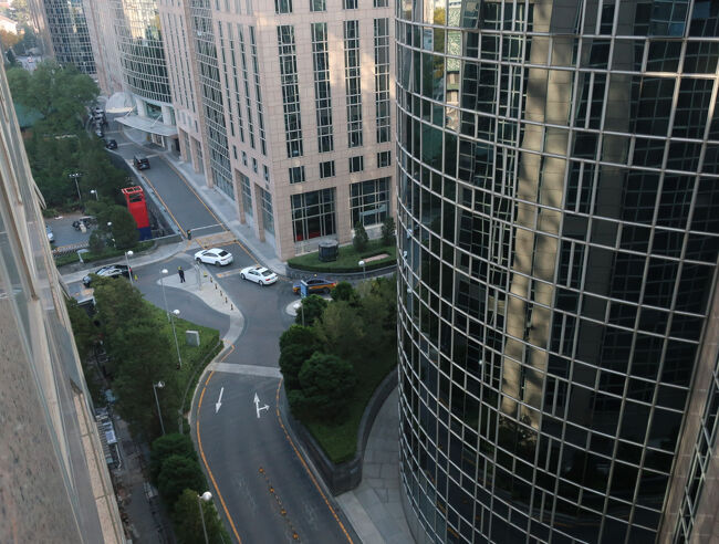 窓からの眺めです。