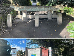 フェリーへ乗る前に『埋没鳥居』を訪れました
ここは前回来れなかったところ

大正3年の噴火で
高さ3mの鳥居が火山灰で埋まったそう

自然の力を感じるスポットです