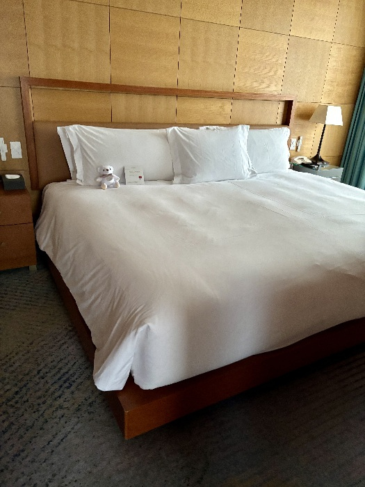 スイートキングルーム