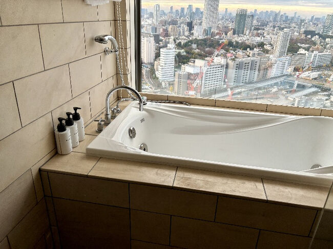 バスルーム<br /><br />シャワー室と一緒になっています