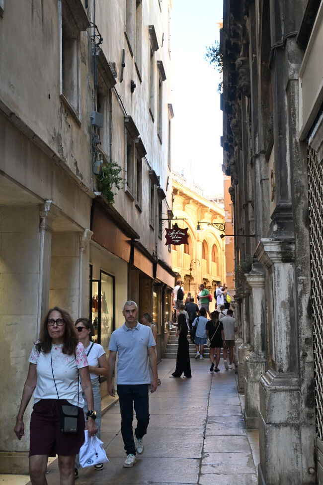 われわれはボローニャからの移動の途中なので、もれなく超重量級のスーツケースが3つもついてくる。この町は大きな荷物を持って歩くのには世界一適していない。縦横無尽に張り巡らされた水路を越えるために無数の階段があり、そのたびにスーツケースの上げ下げを強いられる。路面も石畳のため滑らかには進まない。つらい。<br />この苦行を回避するため、通は一駅手前のイタリア本土にあるベネチア・メストレ駅周辺か、あるいはベネチア・サンタ・ルチア駅近くに宿を取るという。なるほどねえ。次からはそうしよう。