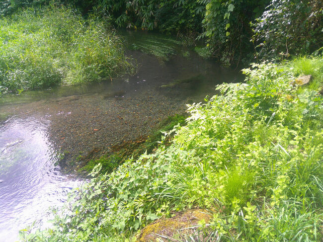 こちらの泉は小さな小川の脇にあり，