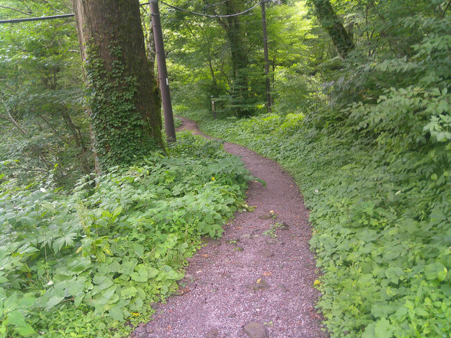 お寺の脇から奥宮への参道が続いています．