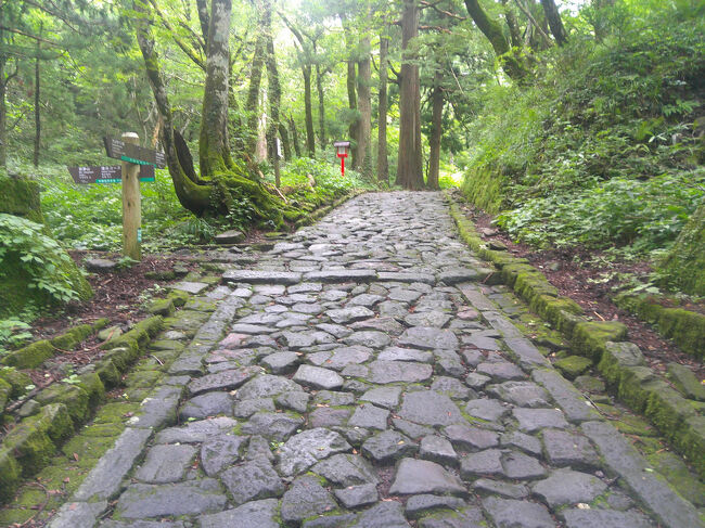基本的に石段なので歩きやすいですが，結構長い距離がありました．