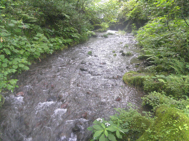 この清流は，テレビCMにも使われたことがあるそうです．