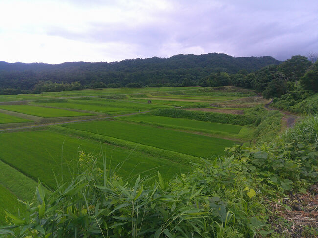 更に下った所には，御机みつめの棚田という棚田がありました．