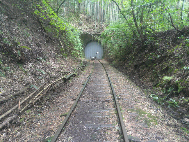 竹林の中を暫く歩くと，トンネルがありました．歩けるのはここまででしたので，ここから引き返しました．