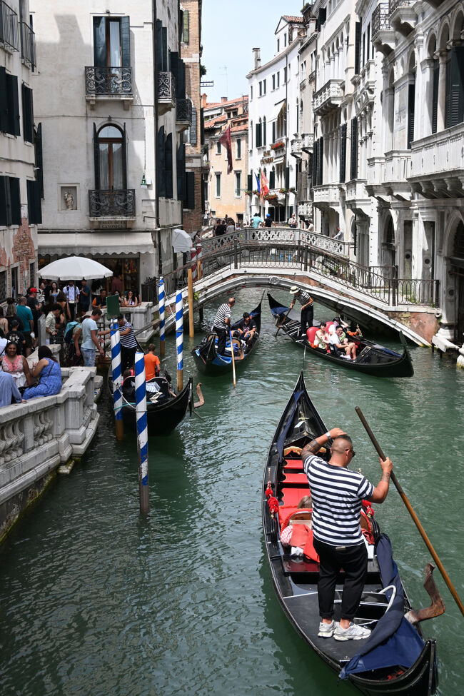 午後には晴れ間が出てきて、ふたたびゴンドラ日和に。