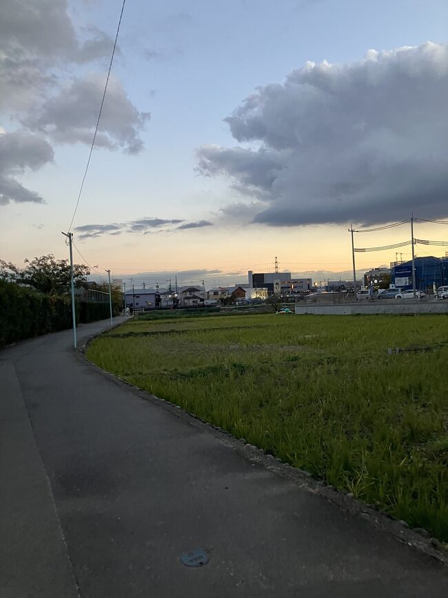 谷保天満宮を降りて歩いて3分くらいで畑