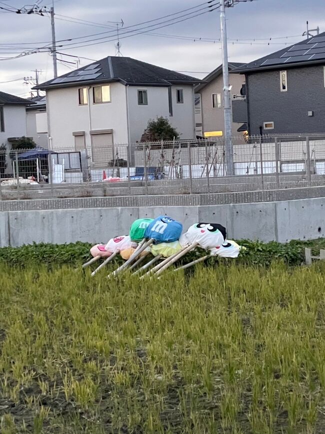 かかしの残骸が