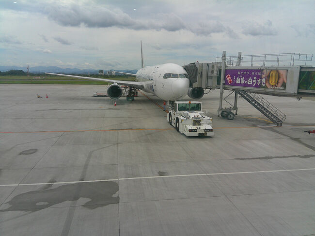 米子空港から羽田へ向けて帰りました．