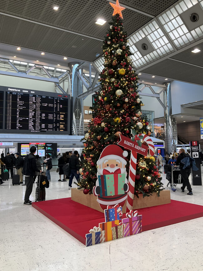 11/29(土)<br />7:26 成田空港<br />この時間に来るために2時起きしましたが、前日からの熱は38.1℃と下がらず…<br />解熱剤がそろそろ効く頃でしょう(≧∀≦)<br />