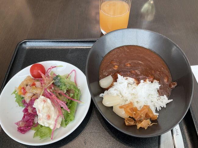 カレー食べてるってことは、解熱剤が効いたのでしょう(^_^)a<br />食後はラウンジ内に仮眠室があることを思い出して、30分ほど休ませて頂きました<br />ここは、以前、マッサージルームだったところですよね？<br />いつもなら、このあとラウンジホッピングするのに一カ所で十分♪