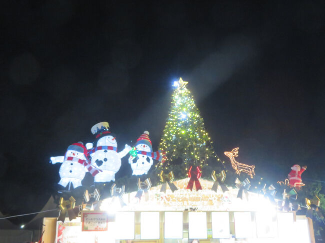 逆光だけどね。