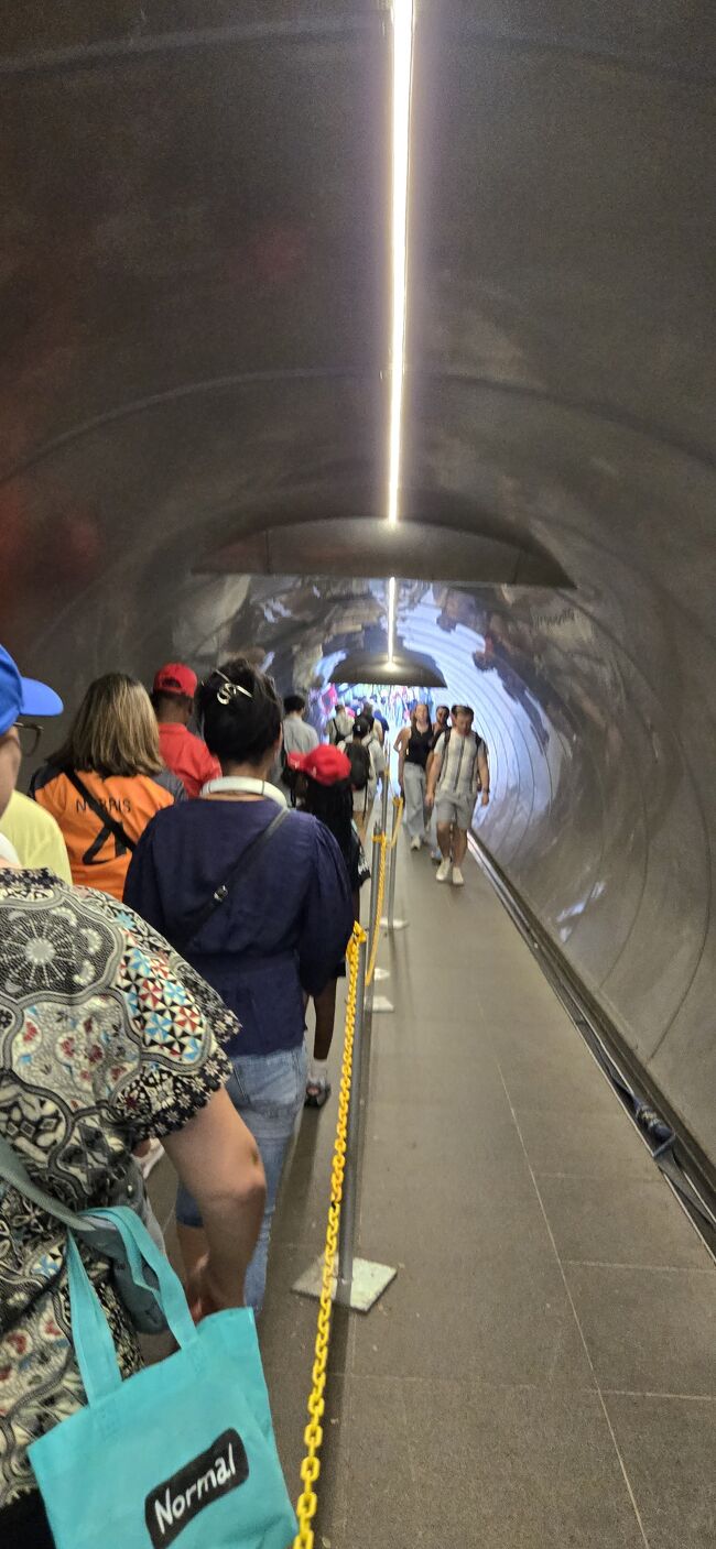 コースの下を通って、コンサート／イベント会場に抜けるトンネルです。