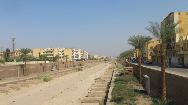 早速カルナック神殿に徒歩で向かいます。ホテルから数分歩くと、スフィンクス参道が見えてきました。参道はカルナック神殿とルクソール神殿を結んで設けられているのですが、その間に横断できる橋は２箇所しかありません。